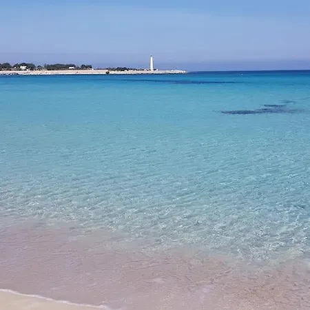Fiore Di Zagara 100mt Dal Mare Apartment