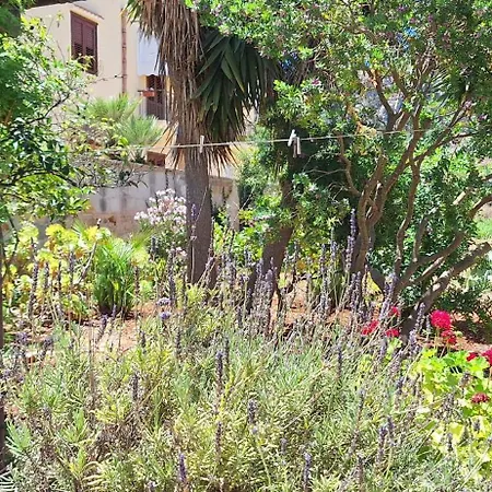 Fiore Di Zagara 100mt Dal Mare